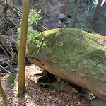 Gaestehof Flora - Panoramablick * Bad Schandau