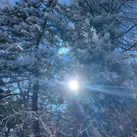 #3panoramablick Bad Schandau