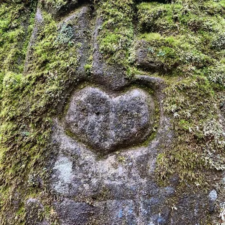 #3panoramablick * Bad Schandau