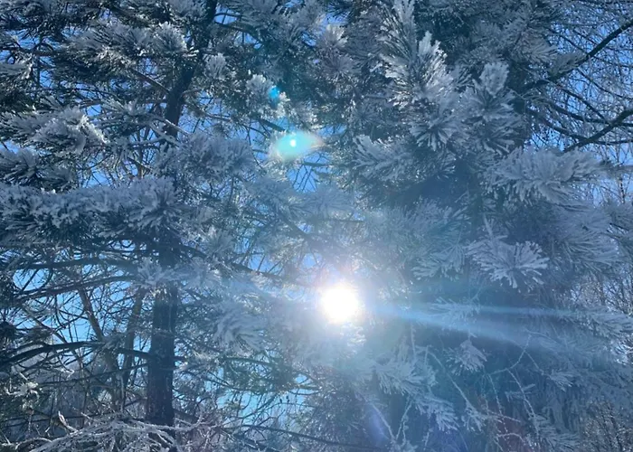 #3panoramablick Бад-Шандау