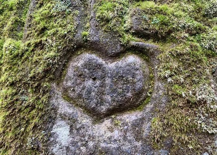 #3panoramablick * Бад-Шандау